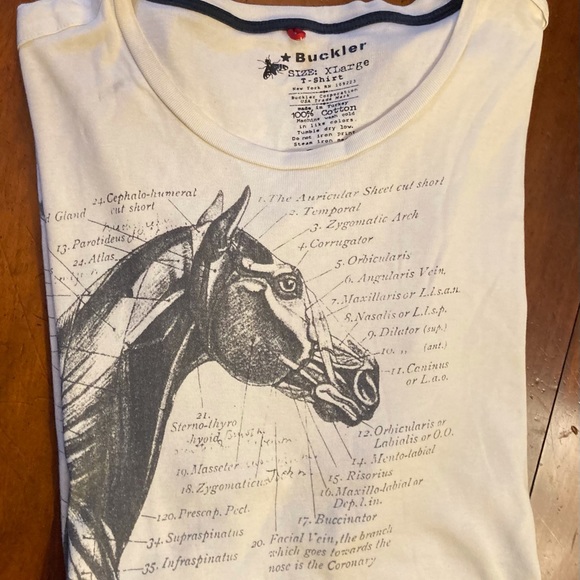 Buckler unisex cotton tee shirt Equine anatomy illustration in gray on off white - Picture 4 of 10
